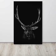 BULL ELK - Wilder