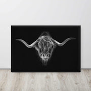 HIGHLAND COW - Wilder